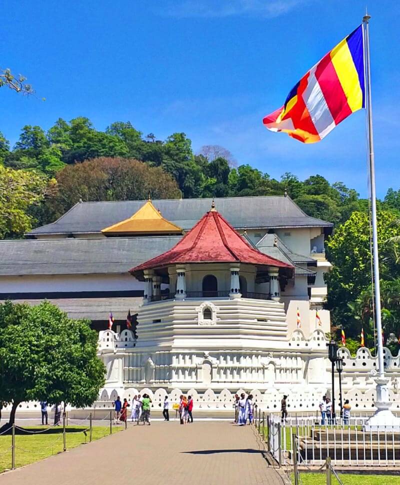 Kandy Day Tour From Negombo